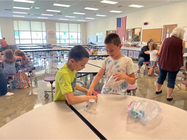 Live Feed Bruceton School